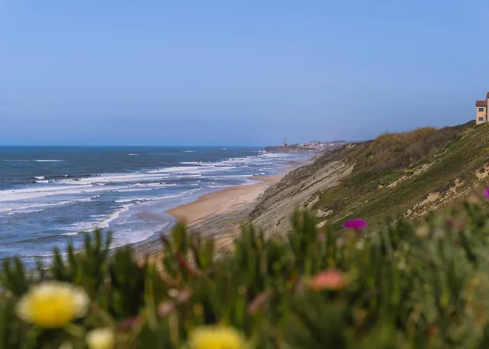 Surf - 7min Walk To The Appartement *